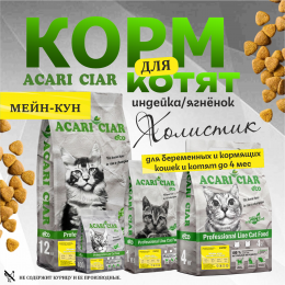 Корм А` КЭТ Мейн-кун Стартер для кошек Акари Киар