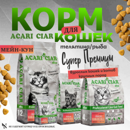Корм А `КЭТ Мейн-кун Телятина для кошек Акари Киар