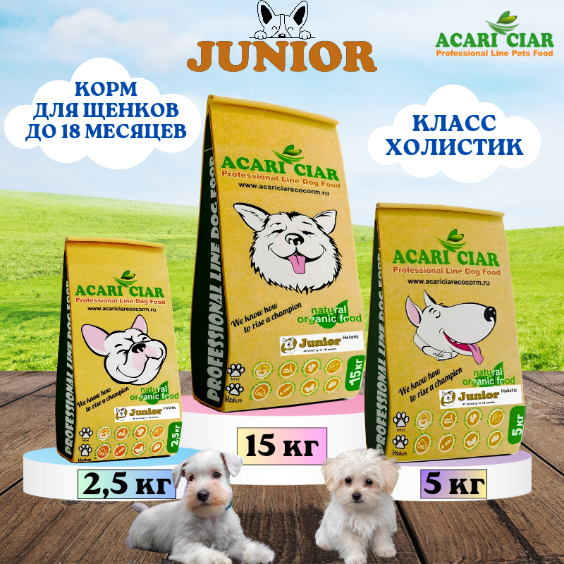 Джуниор месяц. Акари Киар Юниор для собак. Сухой корм для собак Acari Ciar Junior Holistic. Наполнитель для кошек инфографика. Собака Джуниор.